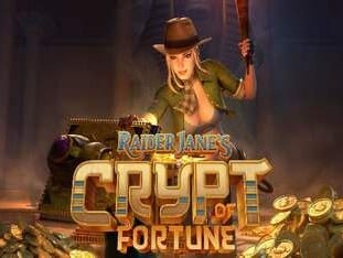 Raider Janes Crypt Of Fortune icon