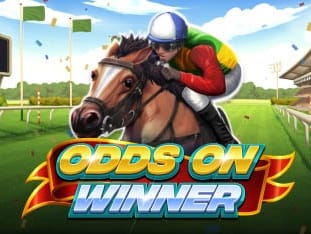 Odds On Winner icon